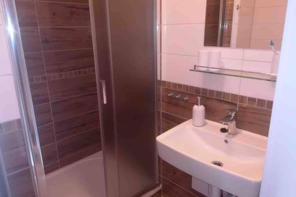Apartmán Jakub Sklář Železná Ruda Kültér fotó